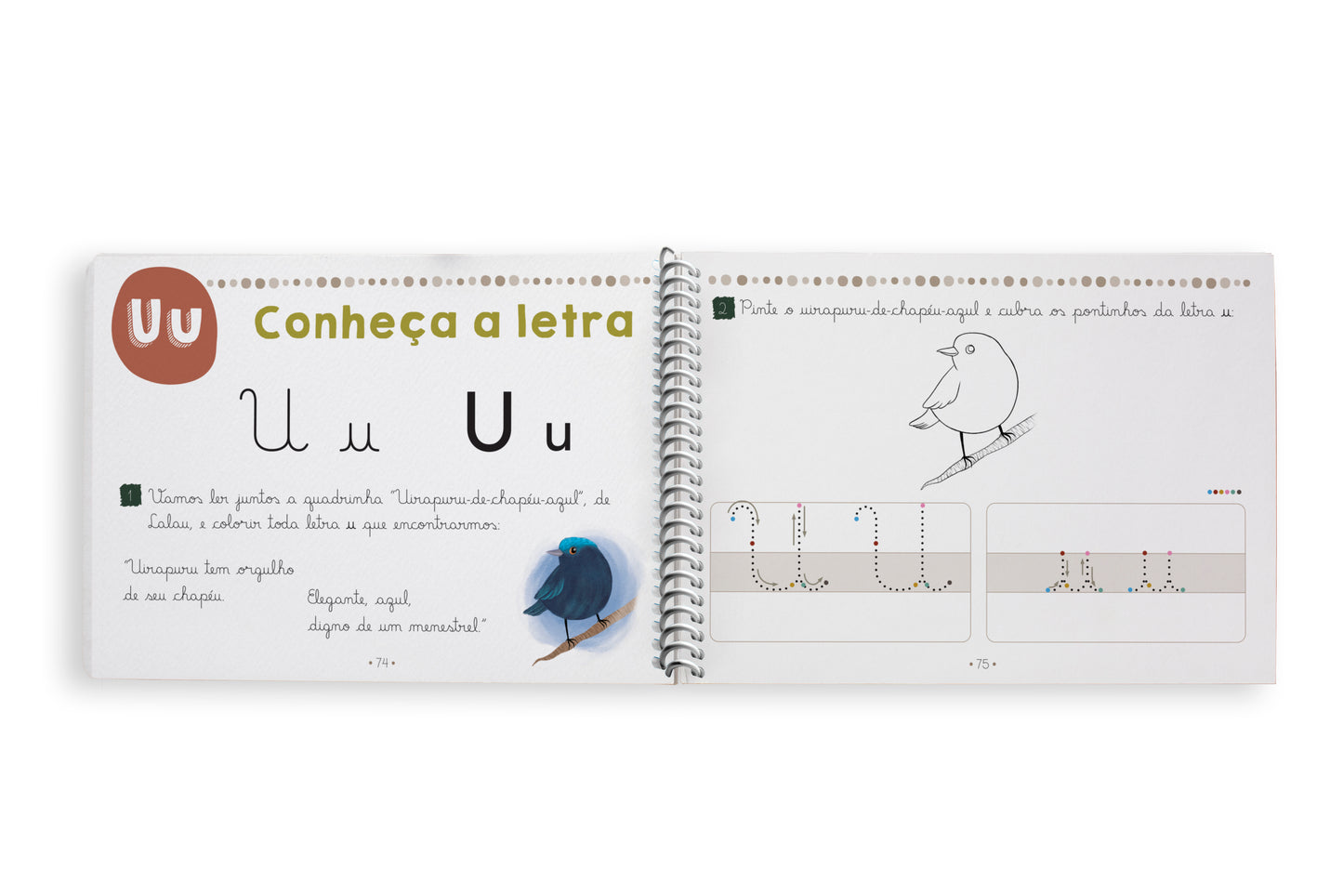 Programa de alfabetização "Meu caderno de alfabetização"