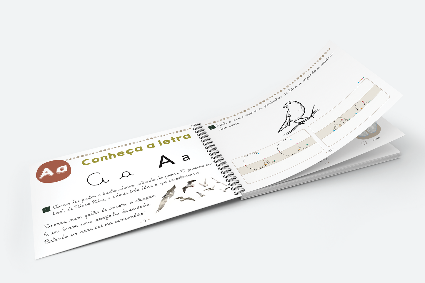 Meu caderno de alfabetização: volume 1, em .pdf