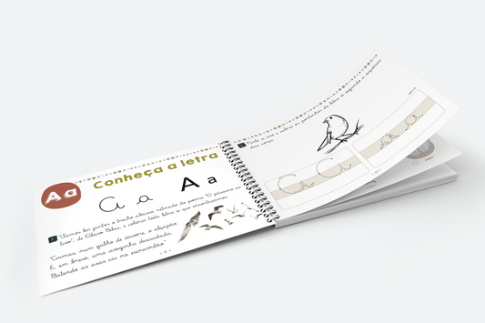 Meu caderno de alfabetização: volume 1, em .pdf