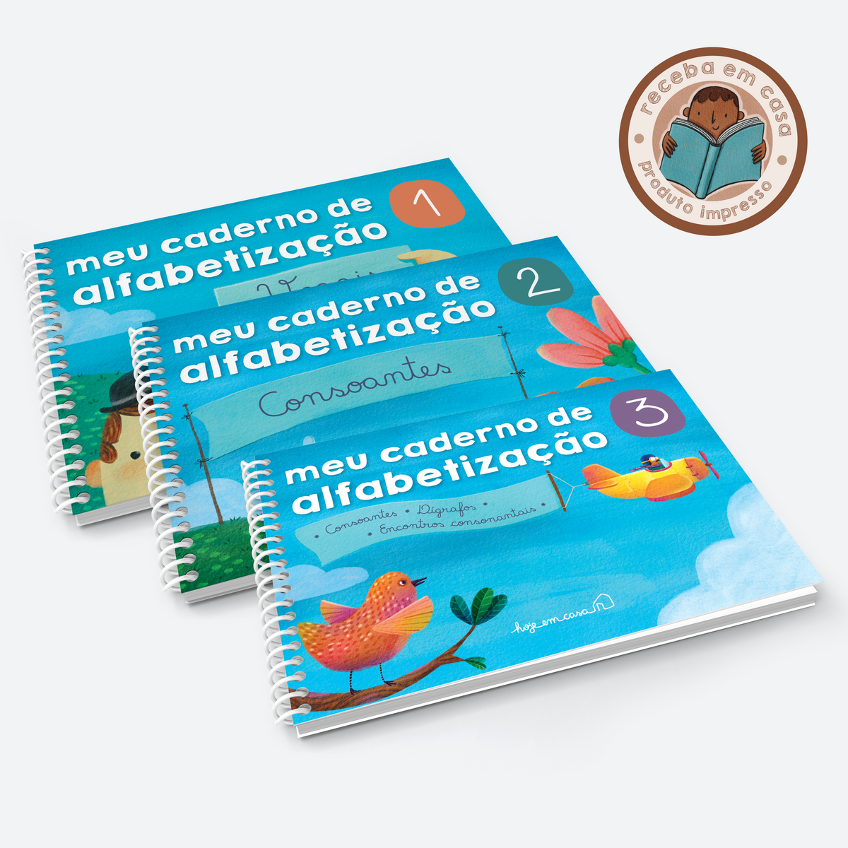 Programa de alfabetização