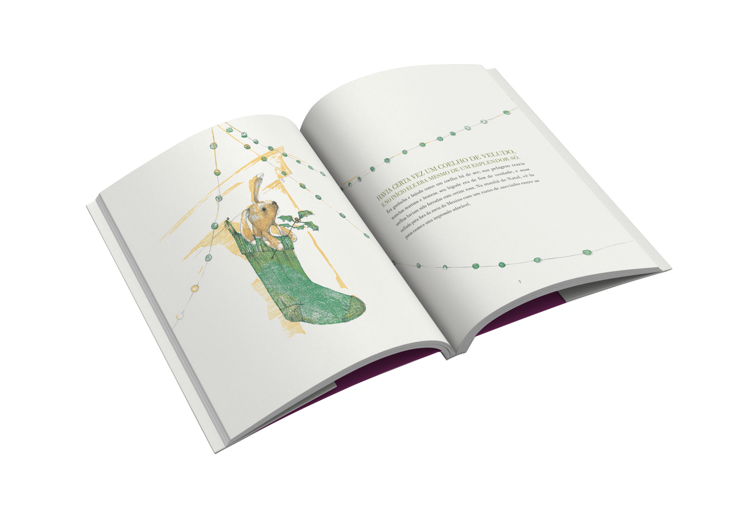 O coelho de veludo, Margery Williams & Erin Stead