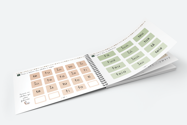 Meu caderno de alfabetização: volume 2, em .pdf